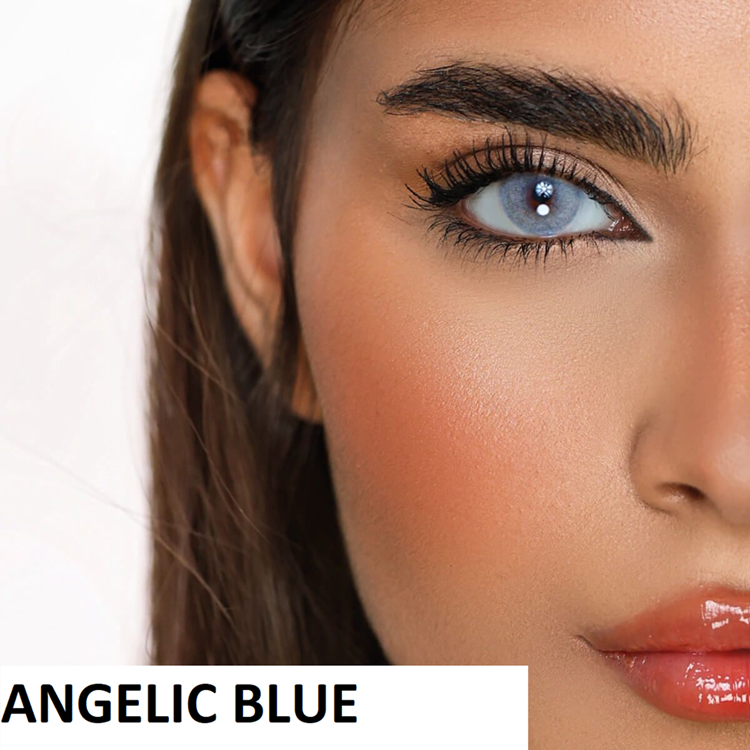 Desio Attitude Monthly 1 Tone Numaralı Renkli Lens